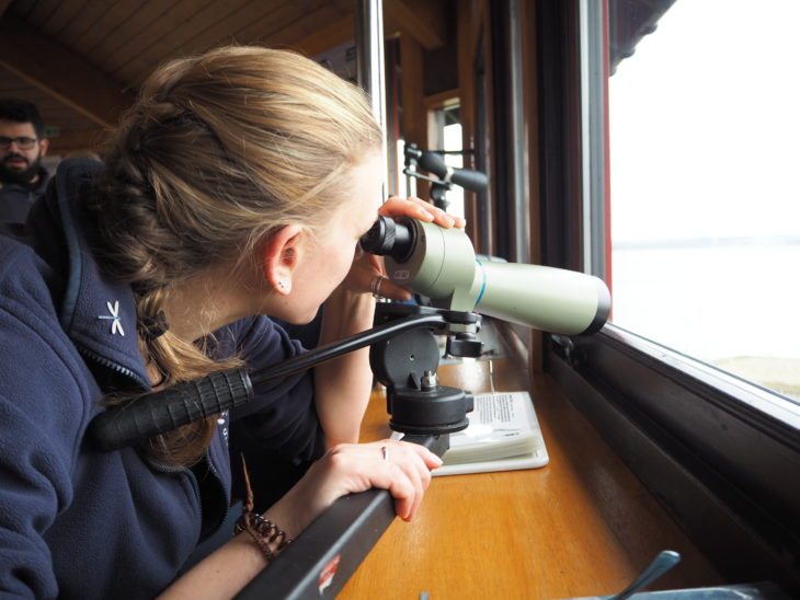Birdwatching at Montrose Basin Visitor Centre