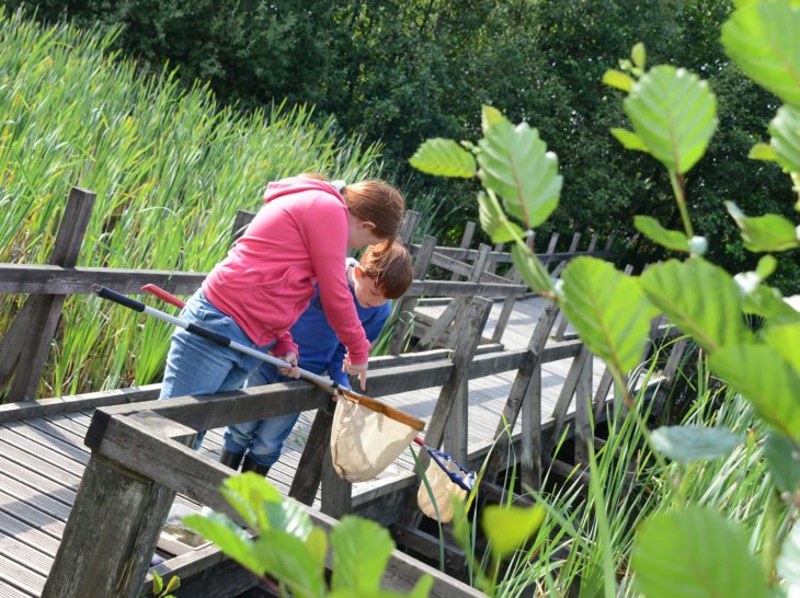 Pond dipping at Jupiter