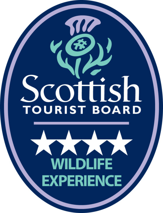 4 Star Wildlife Experience Logo