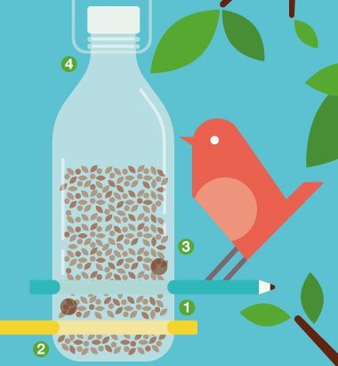 Build your own bottle bird feeder | Scottish Wildlife Trust