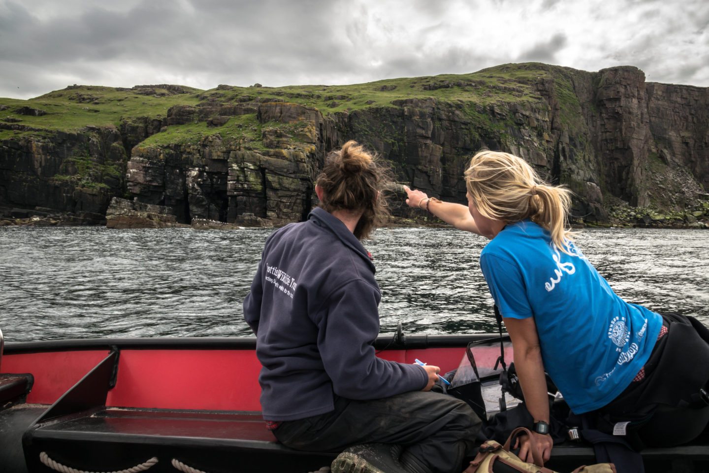 Ханда (остров). Scottish Wildlife Trust картинки.