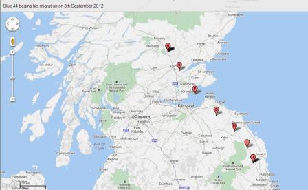 He's gone! 9th Sept | Scottish Wildlife Trust