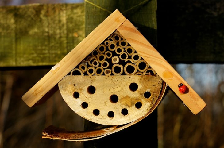 Bug hotel