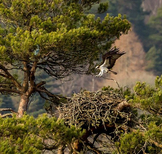 online klischee oder leitbild geschlechtsspezifische rezeption