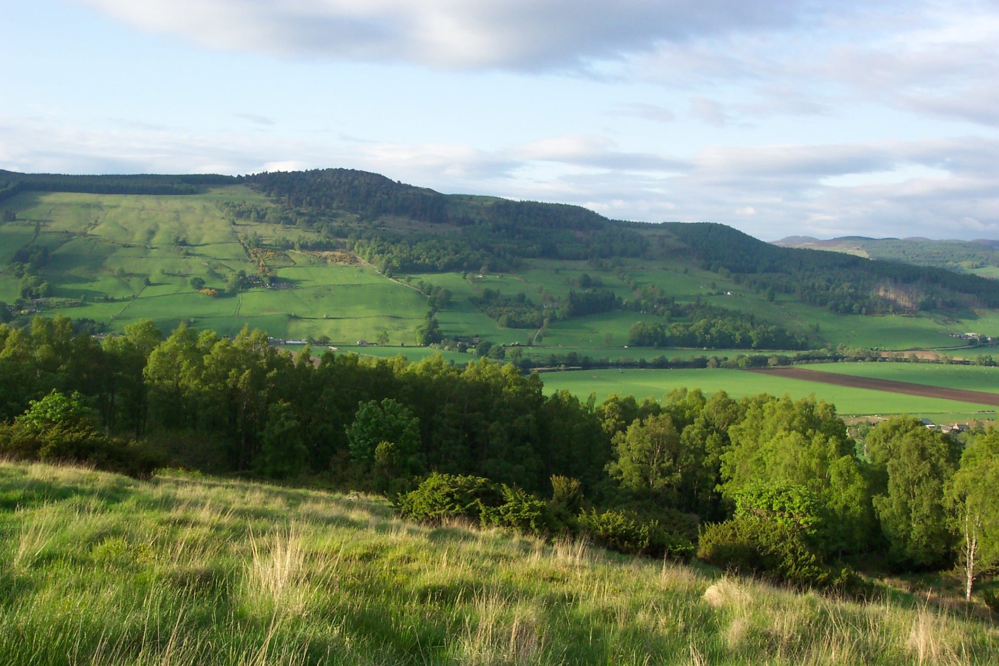 Balnaguard Glen | Scottish Wildlife Trust