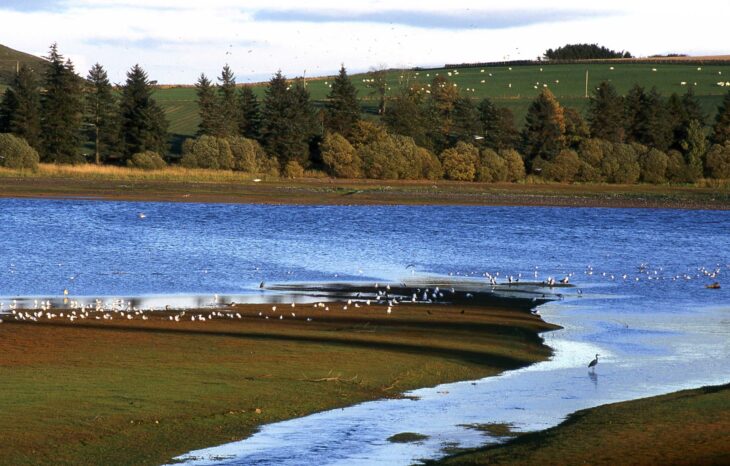 Loch of Lintrathen