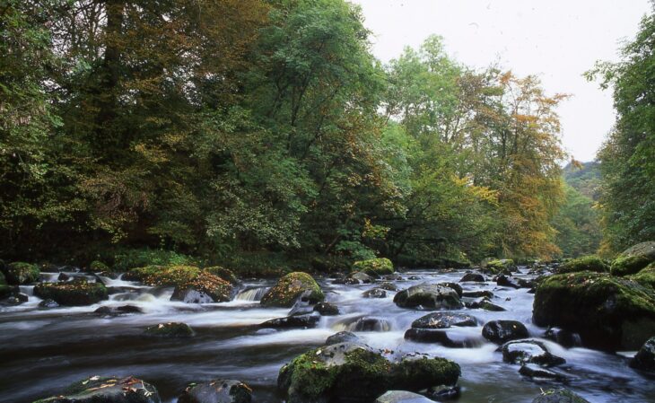 Roslin Glen