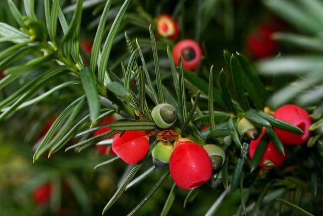 Nursery Tales | Scottish Wildlife Trust