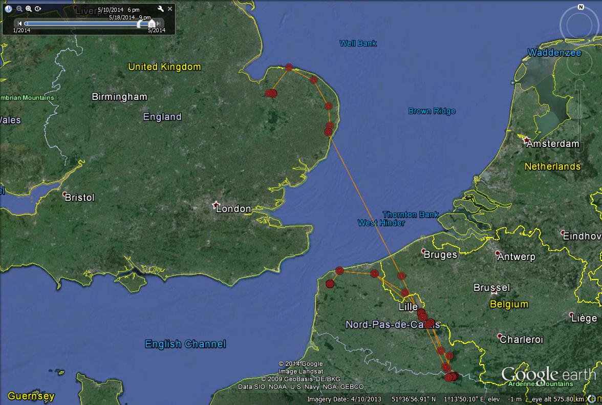 osprey migration route