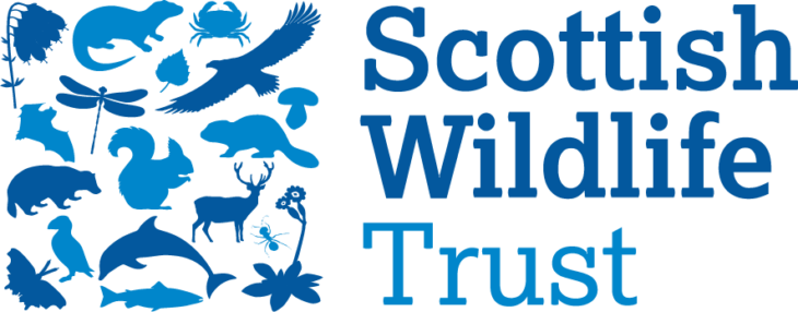 Saving Scotland’s Red Squirrels | Scottish Wildlife Trust