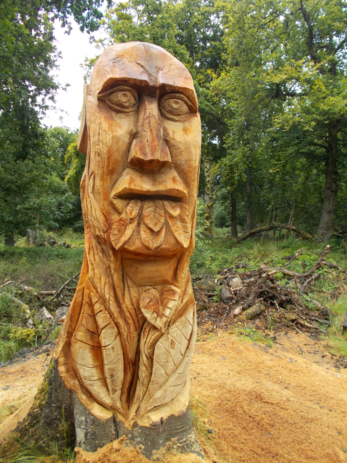 New sculptures put Forest Wood Wildlife Reserve heads above the rest ...