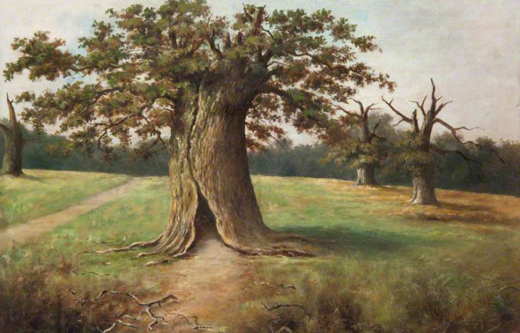 Sweet, George, 1852-1923; Boss Oak, Cadzow Forest © Photos courtesy of Art UK