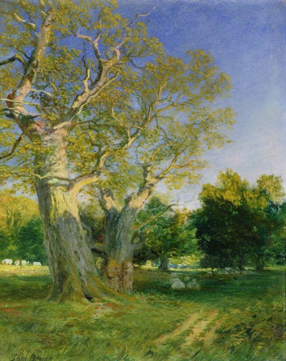 Bough, Samuel, 1822-1878; Summer Evening, Cadzow © Painting courtesy of Art UK