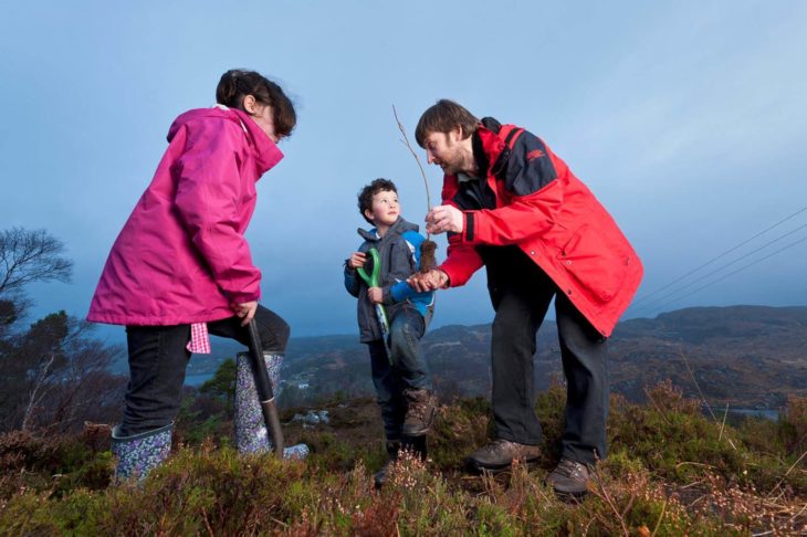 Tree planting