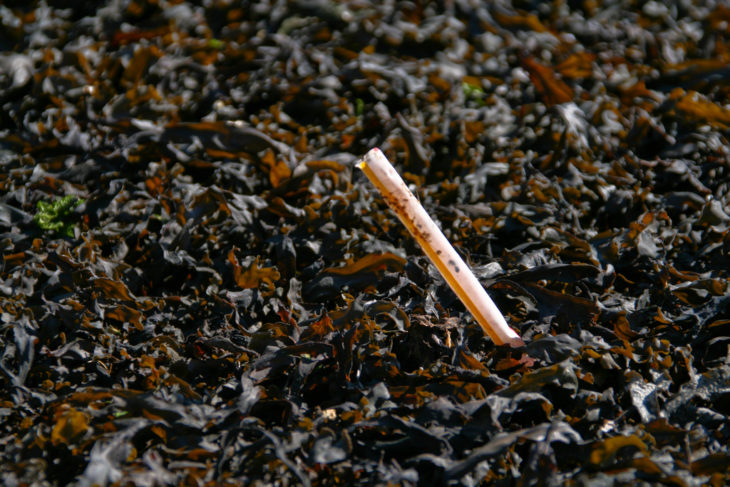 Plastic straw © Stephen Dyrgas