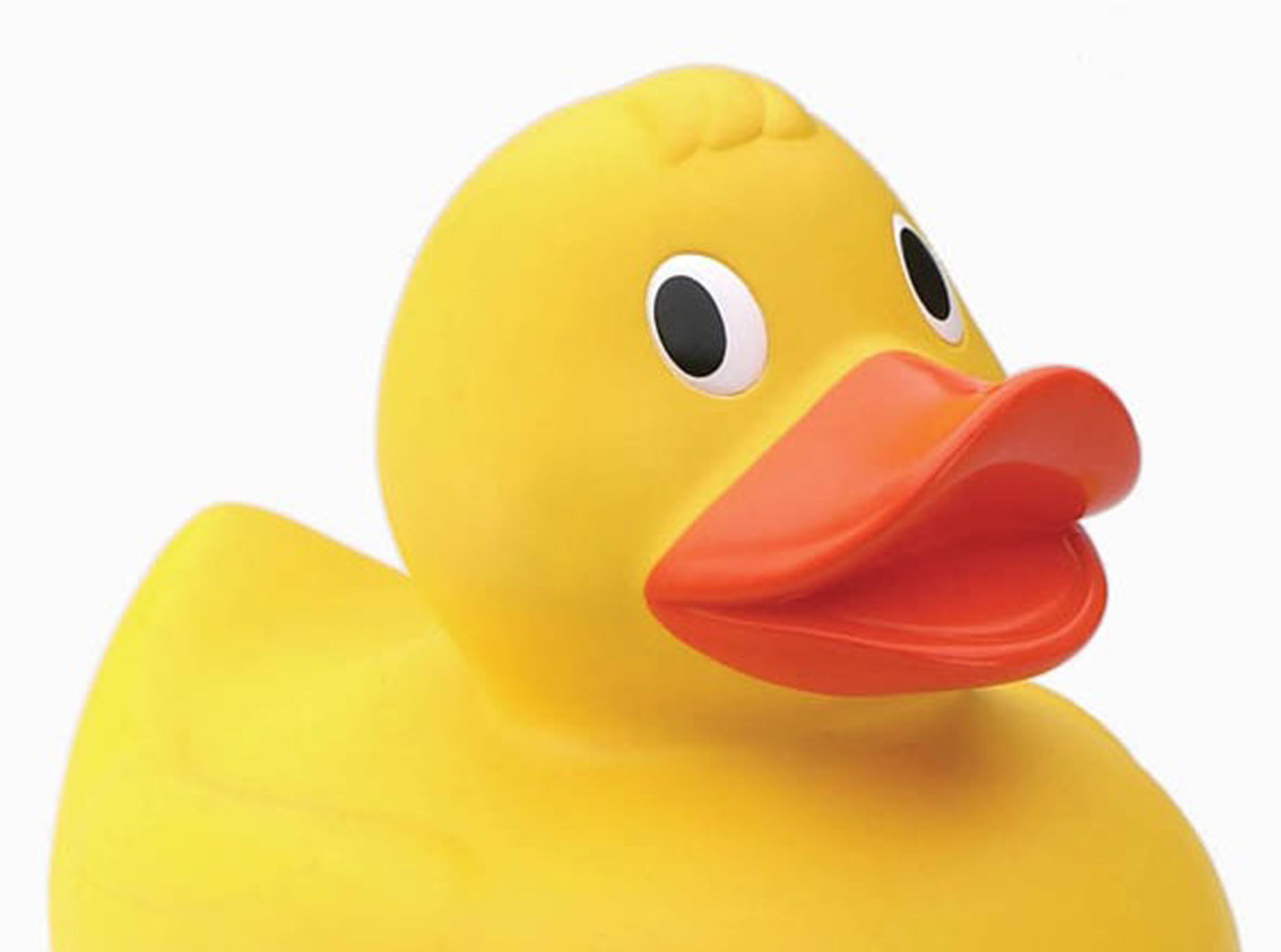 Easter Duck Race | Scottish Wildlife Trust