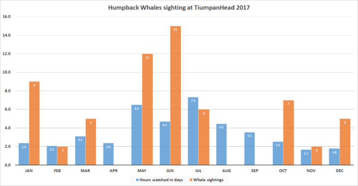 Humpback whale sightings at Tiumpan Head in 2017