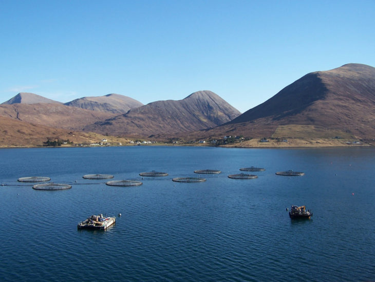 Fish farm in Loch Ainort © Richard Dorrell