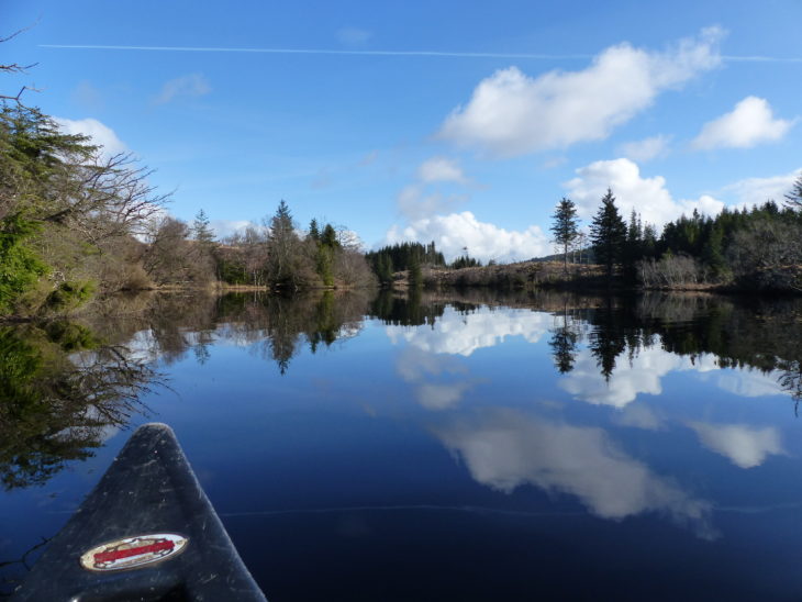 Loch view in Knapdale © Rory Sandison, Scottish Beavers