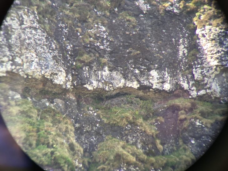 View of a golden eagle nest trough a telescope on the Isle of Eigg. © Érika Faggiani