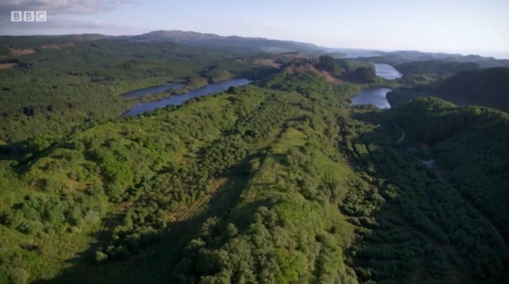 Drone footage of Knapdale Forest © Tern TV