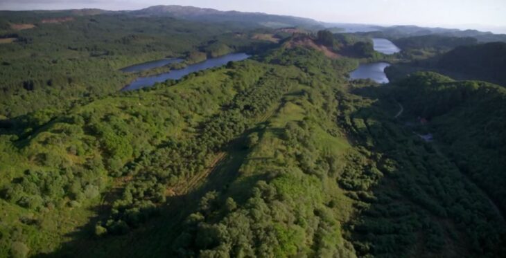 Drone footage of Knapdale Forest © Tern TV