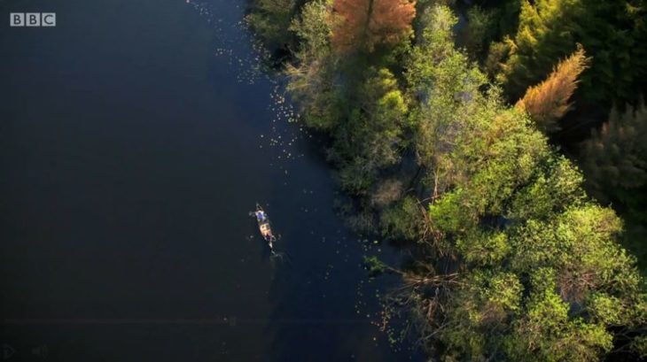 Drone footage of Knapdale Forest © Tern TV