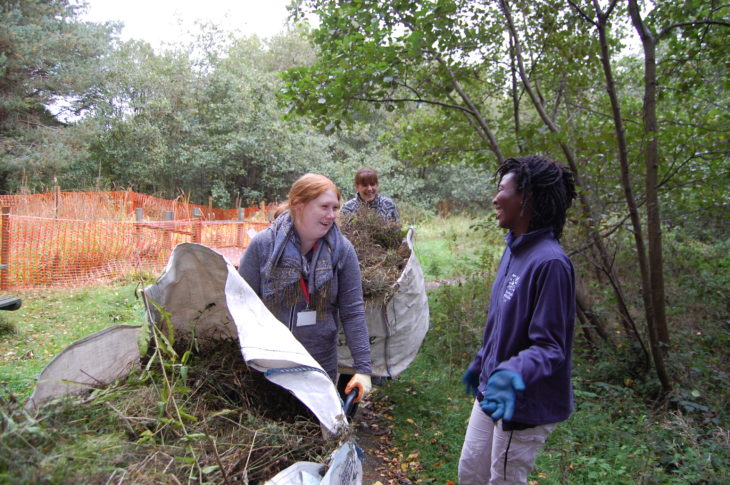 Volunteers from People's Postcode Lottery scything the meadow at Jupiter Urban Wildlife Centre © Rory Syme