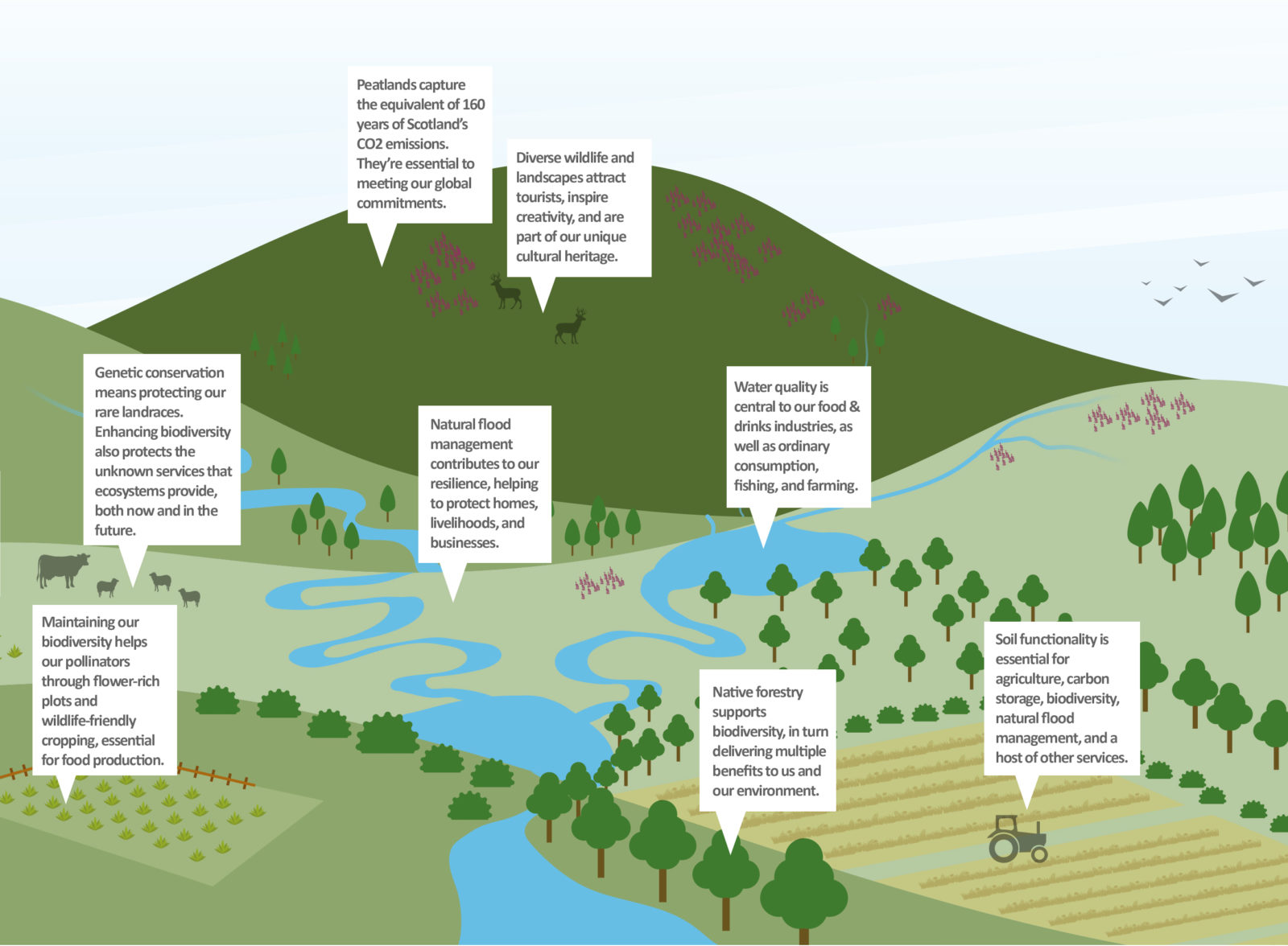 Transitioning To Sustainable Agriculture | Scottish Wildlife Trust