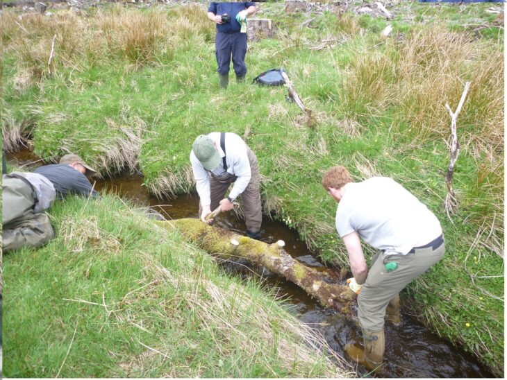 Secured woody debris helps to restore a more natural riffle-pool sequences to a modified stream © Argyll Fisheries Trust 