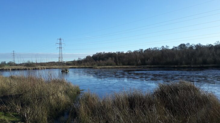 Shewalton Wood Wildlife Reserve © Christine McGovern