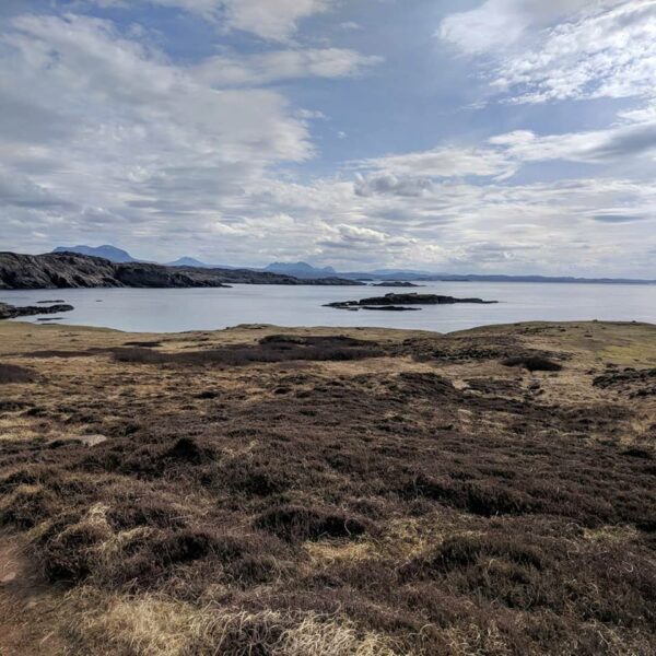 A solo experience | Scottish Wildlife Trust