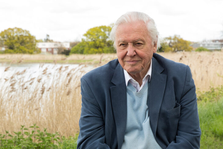 President Emeritus of The Wildlife Trusts Sir David Attenborough © Dixie Lee