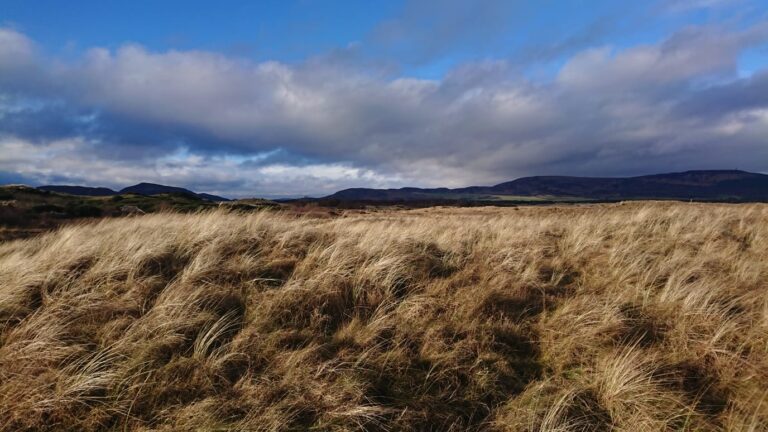 With your support, Coul Links has been saved | Scottish Wildlife Trust