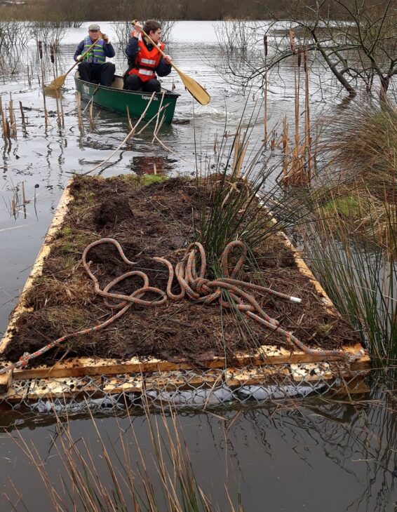 Towing the artificial raft to its final position © Scottish Wildlife Trust