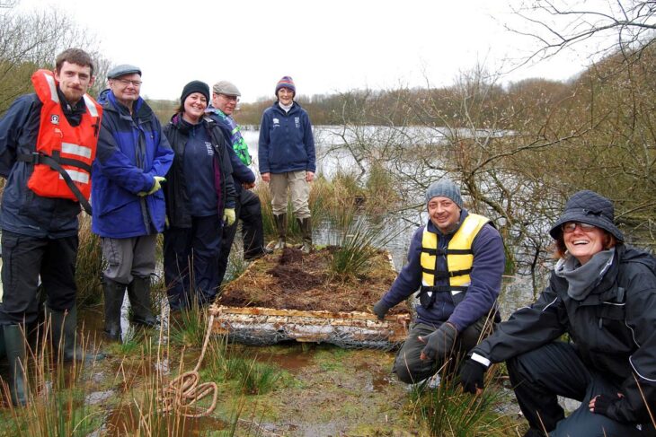 Volunteers with the artificial raft © Scottish Wildlife Trust