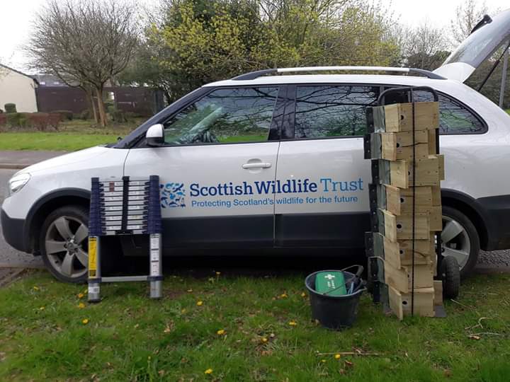 Bird box installation day at Boutreehill Park, Irvine © Scottish Wildlife Trust