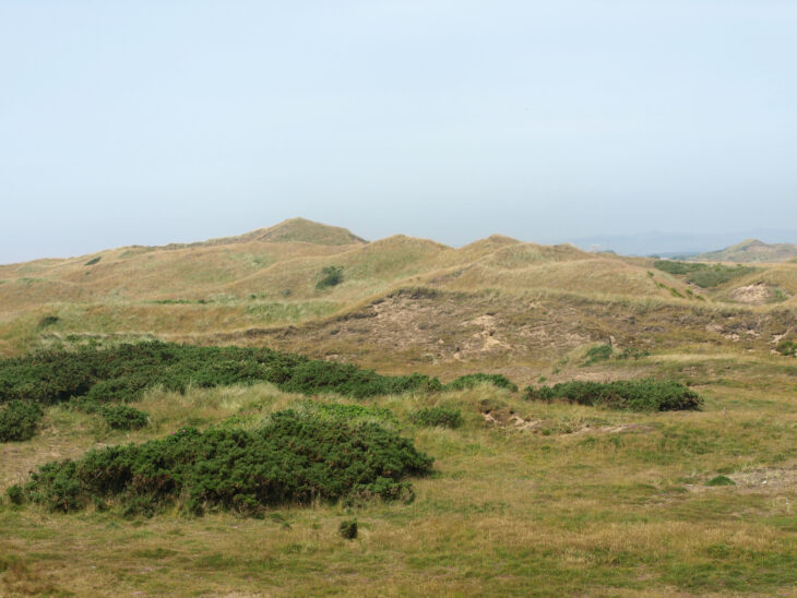 Dune peaks on Ardeer peninsula © Iain Hamlin