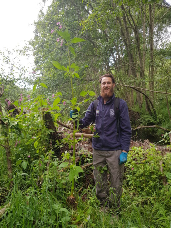 Assistant Ranger with Himalayan Balsam ©Helen Lancaster