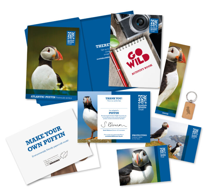 Puffin adoption pack