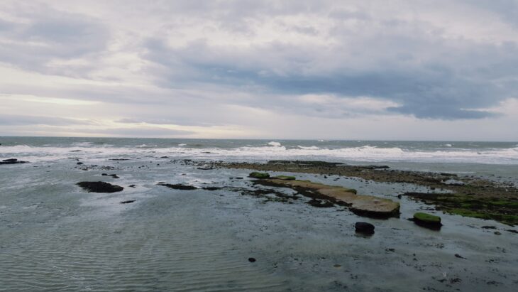 Volunteering in the North East of Scotland | Scottish Wildlife Trust