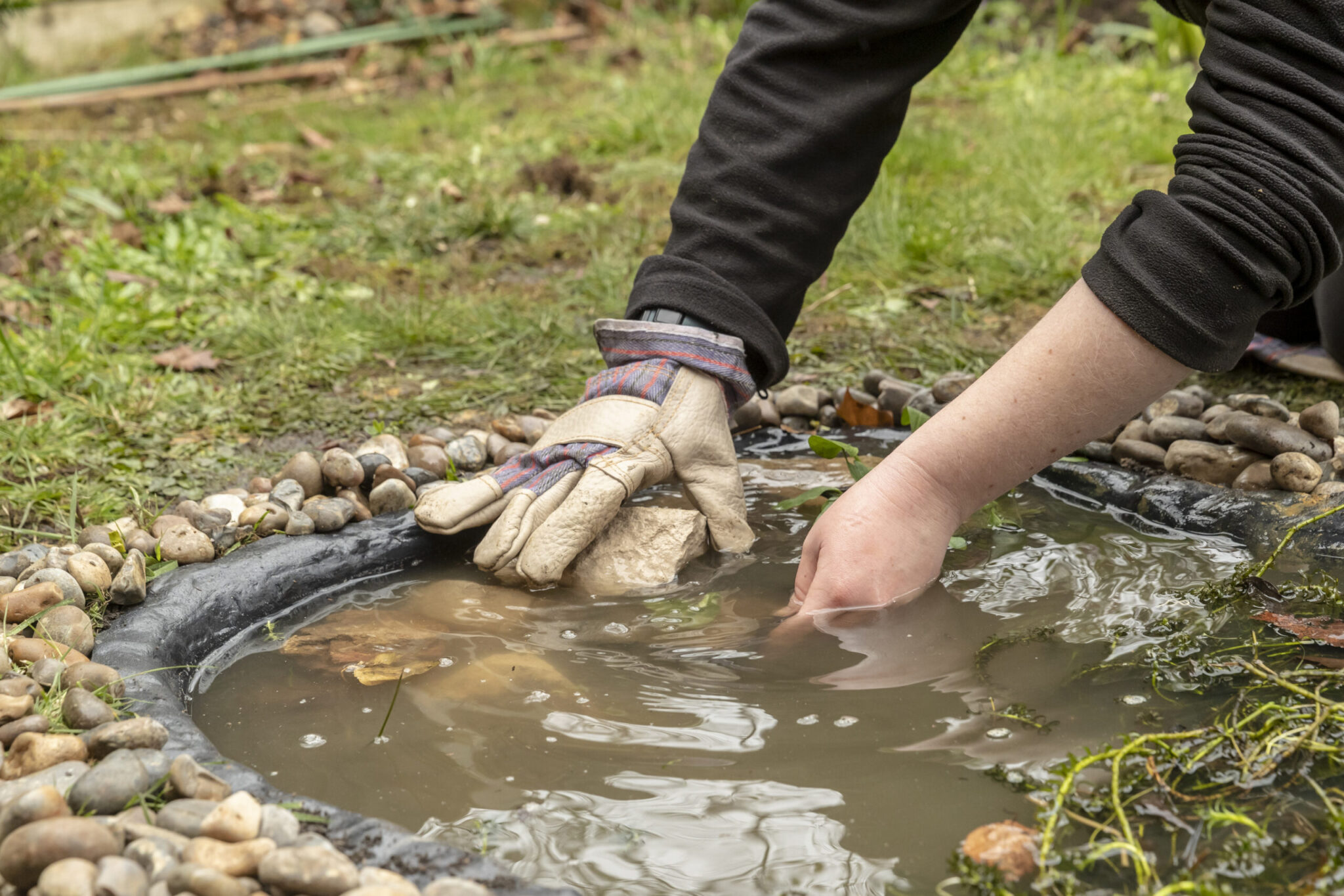 How to create a wildlife pond Garden wildlife Scottish Wildlife Trust