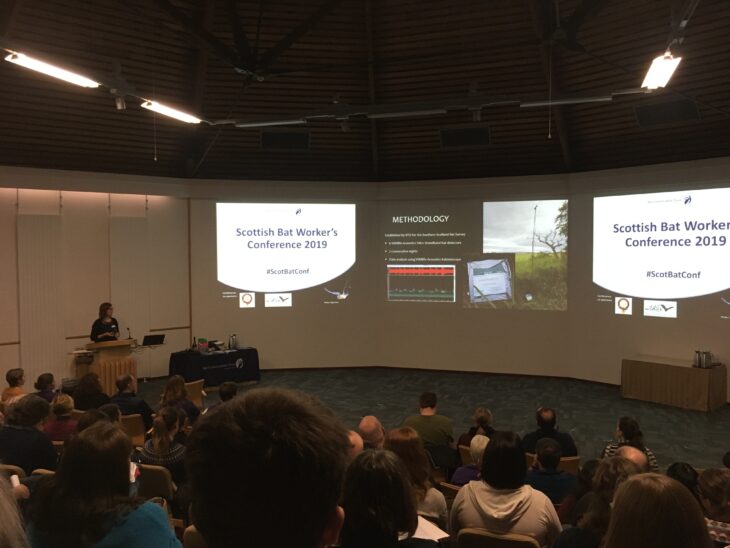 Presenting my results at the Scottish Bat Worker's Conference in November 2019