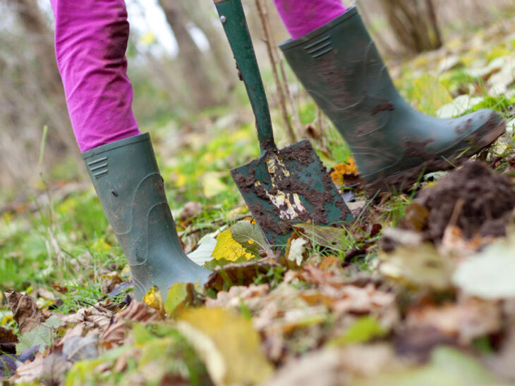 Tree planting