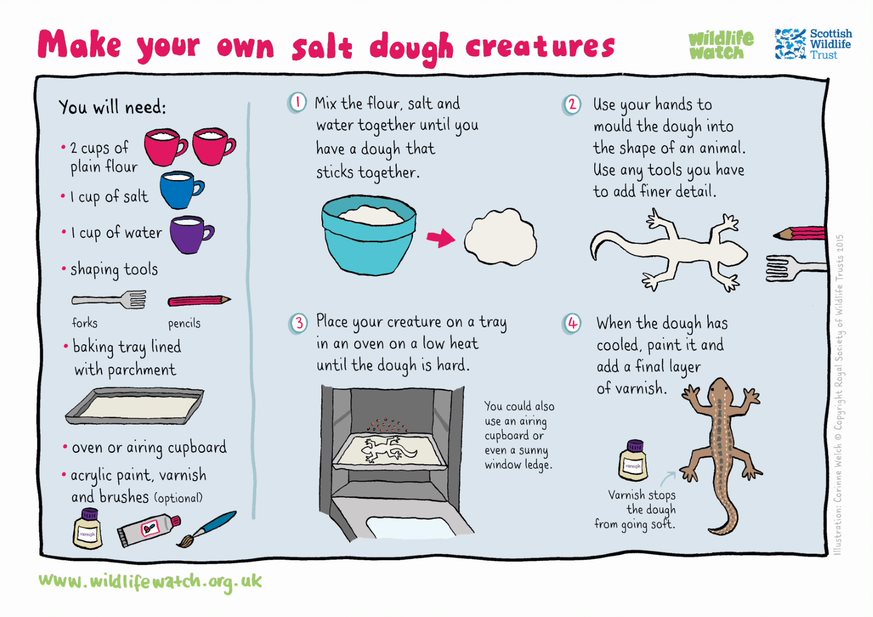 Make and paint your own salt dough animals | Learning Zone | Scottish  Wildlife Trust