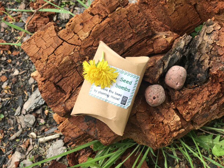 Make Your Own Seed Bombs Learning Zone Scottish Wildlife Trust