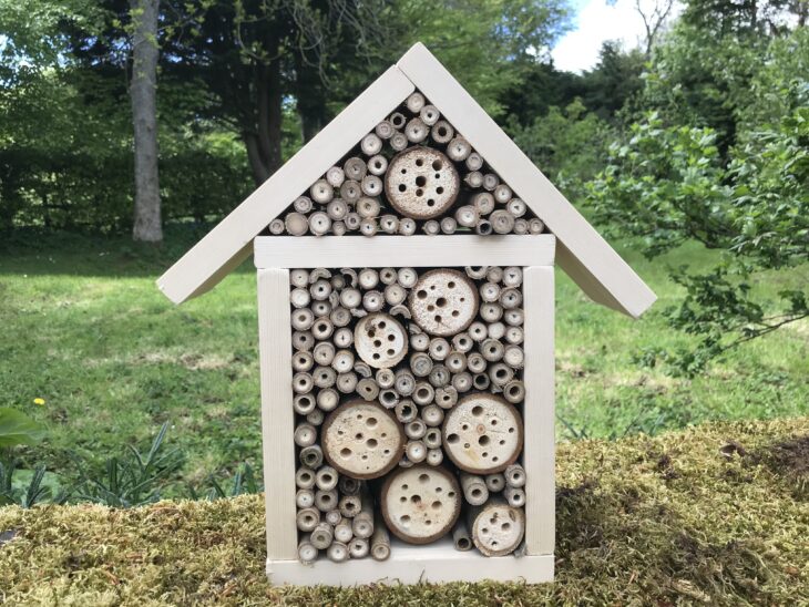 Bee hotel © Pete Haskell