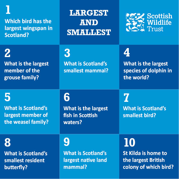 Wild Trivia - largest and smallest © Scottish Wildlife Trust