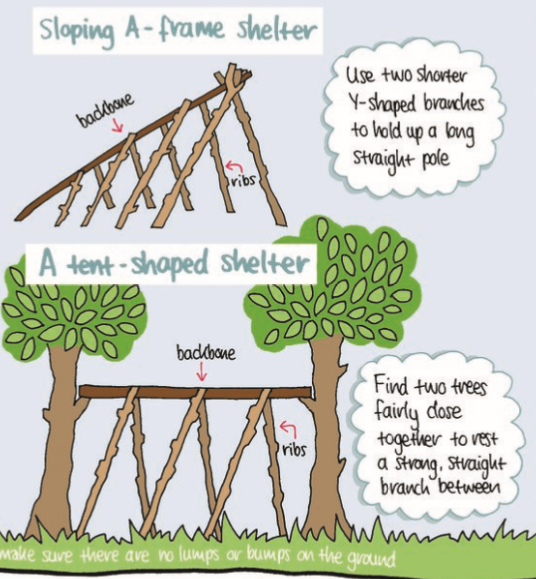 Build your own survival shelter, Learning Zone