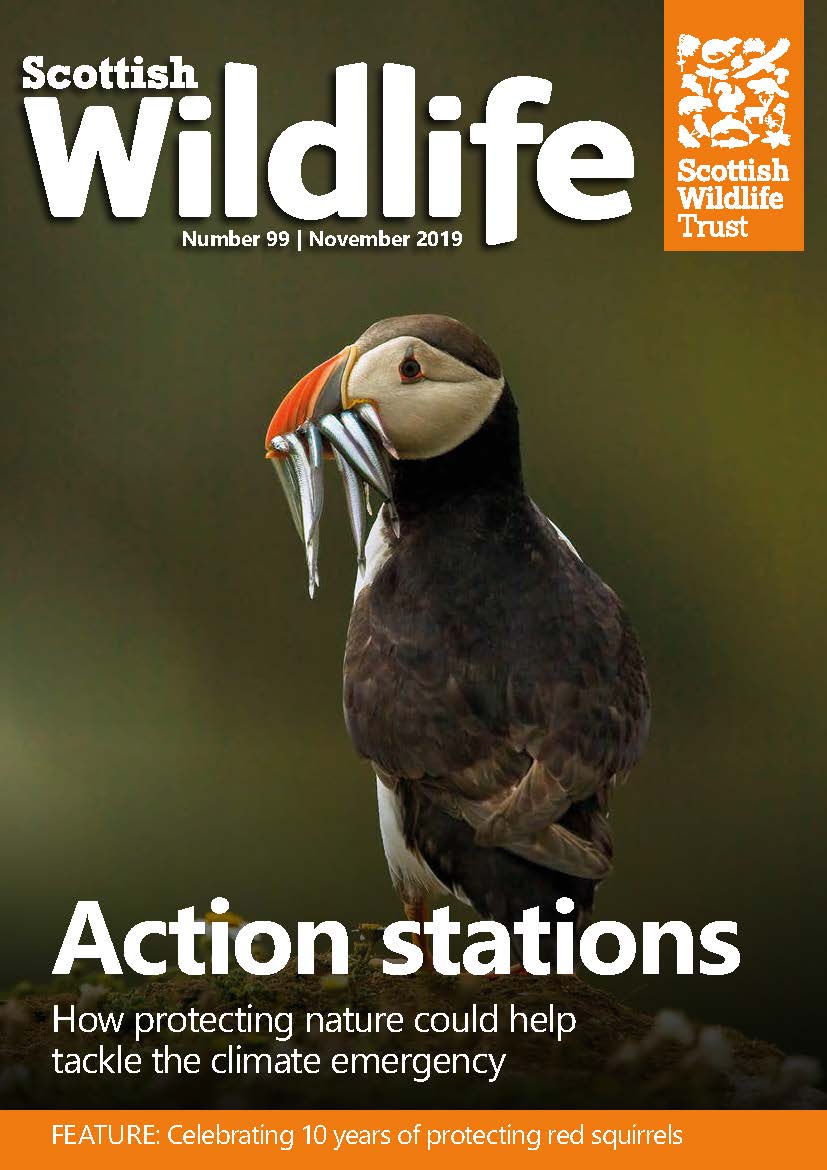 Scottish Wildlife Issue 99 | Scottish Wildlife Trust